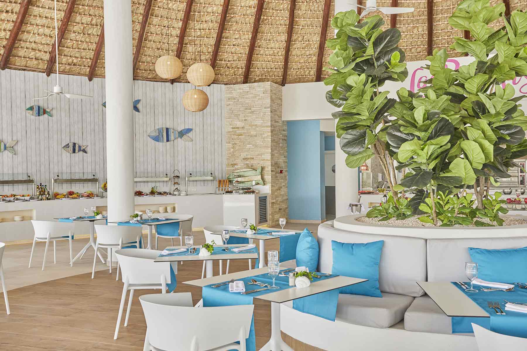 Gastronomy at Luxury Bahia Principe Ambar Don Pablo Collection 5