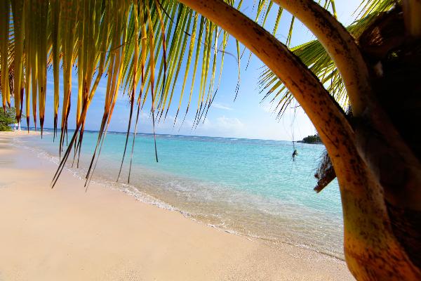 Beach at Grand Bahia Principe Jamaica 3