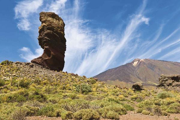 An island tour at Tenerife 5