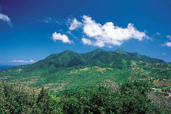 Mystic Mountain and Canopy Zip Line at Jamaica 1