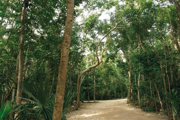 Bike tour in the Blue Mountains at Jamaica